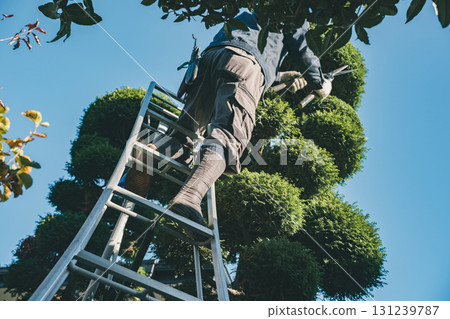 園丁 男人 男 131239787