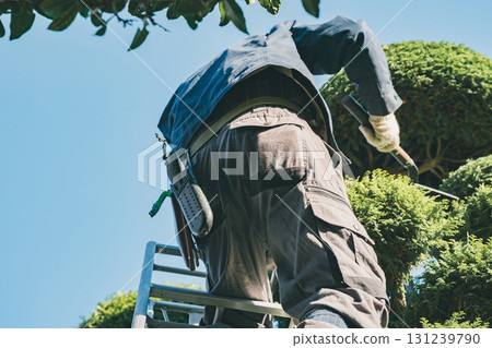 園丁 男人 男 131239790