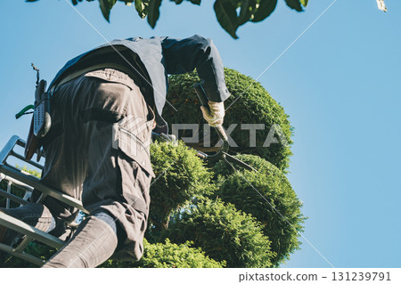 園丁 男人 男 131239791