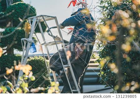 園丁 男人 男 131239805