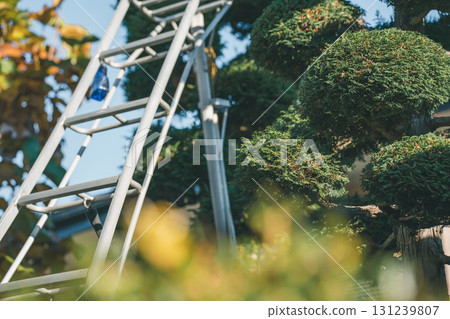 修剪 花園 院子 131239807