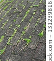 Old cobblestone 131239816