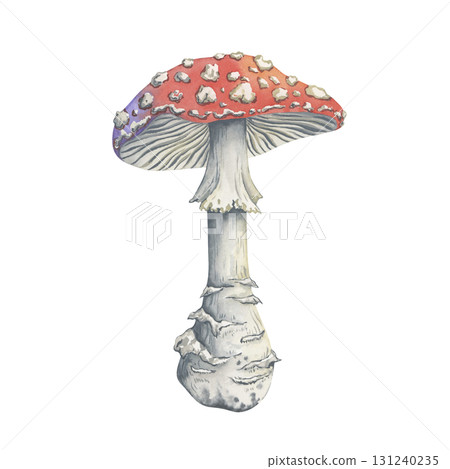 Watercolor illustration of a fly agaric with a picturesque cap and stem in pastel colors. Hand-painted amanita mushroom. Perfect for mugs, textiles, calendars, whimsical seasonal crafts 131240235
