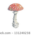 Watercolor fly agaric mushroom illustration in fairytale style. Hand-painted amanita. The mushroom is perfect for autumn decor, forest composition, magical seasonal design 131240238