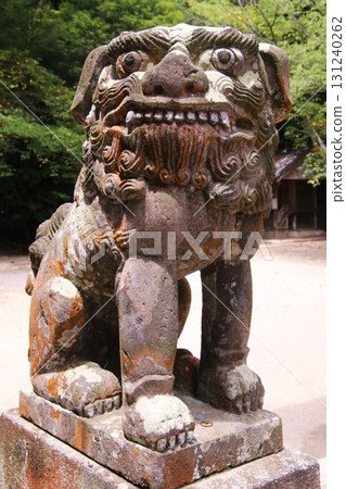 福岡縣糸島櫻井神社的 Komainu 福岡縣糸島櫻井神社的 Komainu 131240262
