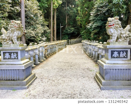 Kasaarajin 131240342