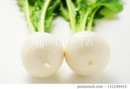 蘿蔔，蘿蔔，蘿蔔，小白蘿蔔 131240415