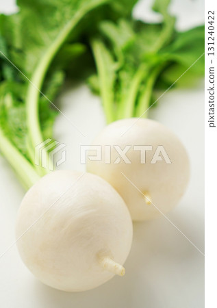 Turnip, turnip, turnip, small white turnip Turnip, turnip, turnip, small white turnip 131240422