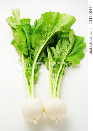 Turnip, turnip, turnip, small white turnip 131240434