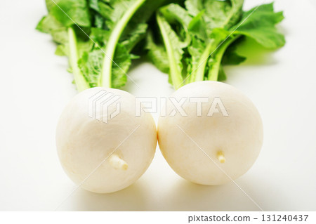 蘿蔔,蘿蔔,蘿蔔,小白蘿蔔 蘿蔔,蘿蔔,蘿蔔,小白蘿蔔 131240437