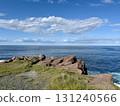 View of the Atlantic Ocean from Cape Spear, Canada's easternmost point 131240566