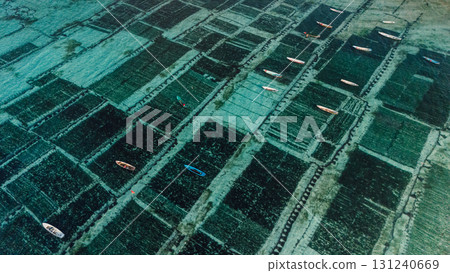 Drone view of ocean seaweed farm at Lembongan island in Indonesia 131240669