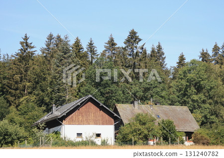 in the forest 131240782