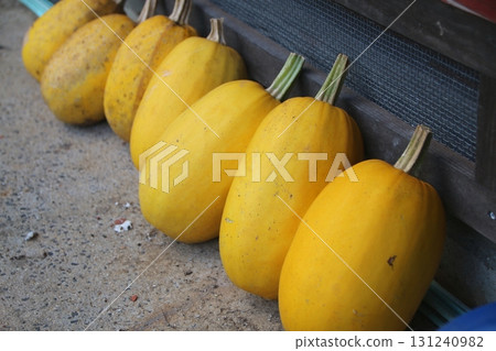Harvested golden gourd Harvested golden gourd 131240982