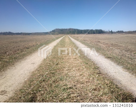 Road in a field with a blue sky in the background Road in a field with a blue sky in the background 131241010