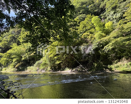 River Scenery (Yoro Valley) 131241048