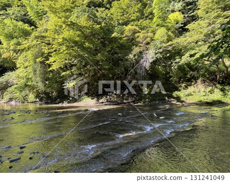 River Scenery (Yoro Valley) 131241049