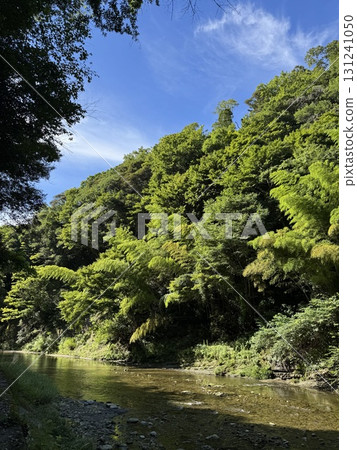 River Scenery (Yoro Valley) 131241050