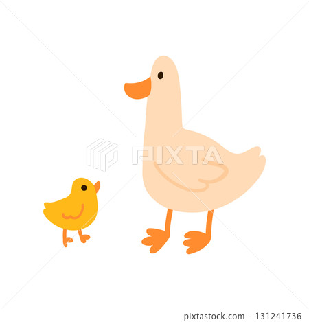 Mother duck standing with duckling simple flat illustration isolated on white. Domestic birds with orange beaks and legs. Great for kids content, nursery prints, farm and animal themes 131241736