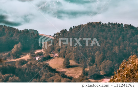 Valley with House and Forest 131241762