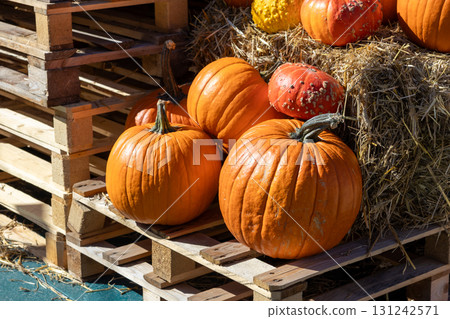 Vibrant orange pumpkins and decorative gourds in various sizes arranged on rustic wooden pallets with hay, perfect for autumn harvest festival decor Vibrant orange pumpkins and decorative gourds in various sizes arranged on rustic wooden pallets with hay, perfect for autumn harvest festival decor 131242571