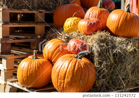 Bright orange pumpkins and diverse gourds are beautifully arranged on rustic hay bales and wooden pallets, showcasing the festive spirit of autumn harvest season Bright orange pumpkins and diverse gourds are beautifully arranged on rustic hay bales and wooden pallets, showcasing the festive spirit of autumn harvest season 131242572