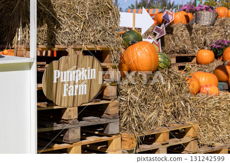 Pumpkin Farm sign, diverse pumpkins, hay bales, and gourds arranged on rustic pallets, capturing an inviting autumn harvest festival scene 131242599