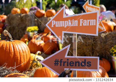 Orange arrow signs for Pumpkin Farm and friends guide visitors through a cheerful autumn display of pumpkins and rustic hay bales, signifying seasonal fun Orange arrow signs for Pumpkin Farm and friends guide visitors through a cheerful autumn display of pumpkins and rustic hay bales, signifying seasonal fun 131242634