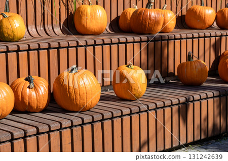 Vibrant orange pumpkins are artfully displayed on tiered wooden benches, celebrating bountiful autumn harvests, festive fall holidays, and seasonal outdoor decorations 131242639