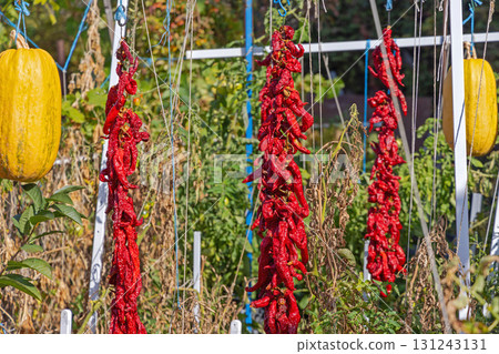 Red Chili Pepper Ristras Red Chili Pepper Ristras 131243131