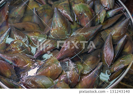 Comb Pen Shells Seafood Comb Pen Shells Seafood 131243140