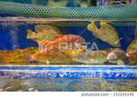 Fish Market Water Tank 131243148
