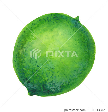 green kiwi isolated on white background 131243364