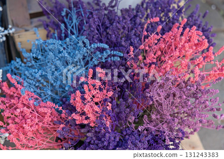 Vibrant Dried Lavender Plants 131243383