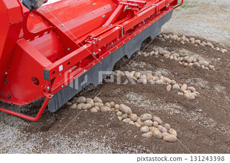 Potato Farming Harvester Potato Farming Harvester 131243398