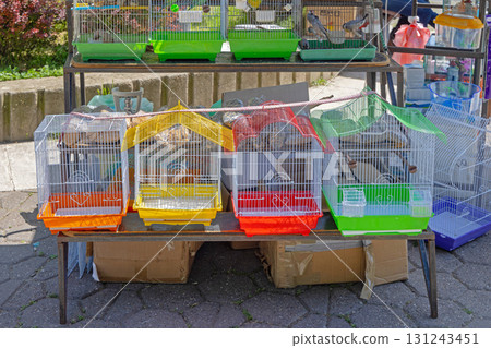 Birds Cages Street Market 131243451