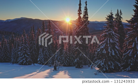 Golden hour bright sunlight shining through snowy pine trees in a winter mountain forest landscape, creating long shadows on the fresh snow covering the ground. Winter wild nature travel background Golden hour bright sunlight shining through snowy pine trees in a winter mountain forest landscape, creating long shadows on the fresh snow covering the ground. Winter wild nature travel background 131243933