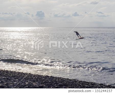 Young boy dives into the sea from the puddle board 131244157