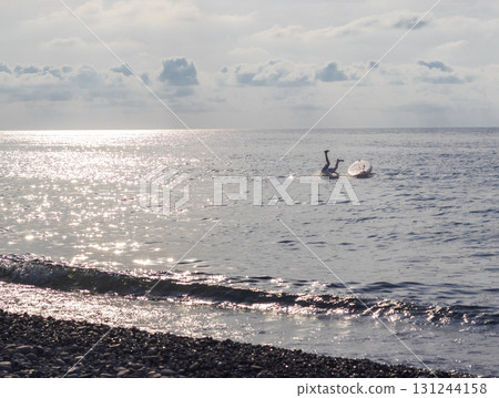 Young boy dives into the sea from the puddle board Young boy dives into the sea from the puddle board 131244158