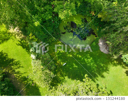Enlgish green garden with multpiple type of trees and plants 131244180