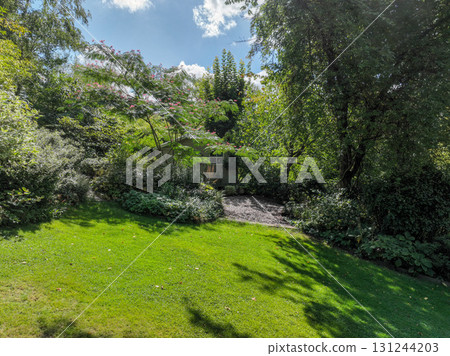 Enlgish green garden with multpiple type of trees and plants Enlgish green garden with multpiple type of trees and plants 131244203
