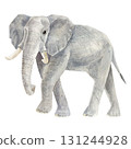 Hand-painted watercolor illustration of a majestic elephant. Artistic wildlife artwork with soft textures and delicate brushstrokes 131244928
