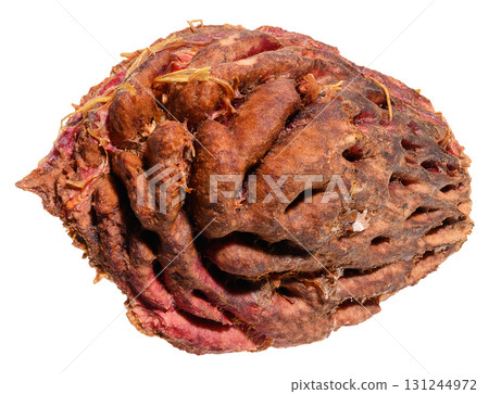 A close-up of a peach or apricot pit with a rough texture on an isolated background A close-up of a peach or apricot pit with a rough texture on an isolated background 131244972