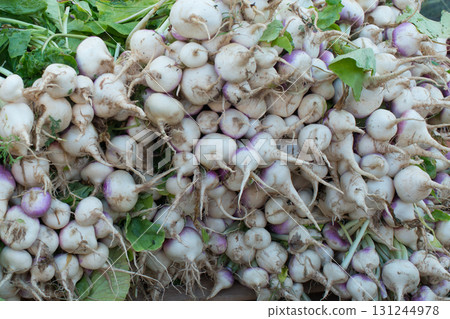 Backgrounds. Pile of organic turnips in a market Backgrounds. Pile of organic turnips in a market 131244978
