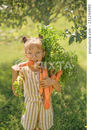 A funny girl wearing glasses to improve eyesight is gnawing on a large ripe fresh carrot. Useful properties of vegetables 131244995