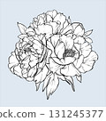 Bouquet of peonies line art. EPS 10. Flower sketch painted by black inks. Hand drawn outline flowers. Peony vector flower illustration. Flowers Engraving for wedding invitations, save the date card 131245377