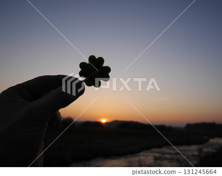 Hand holding a clover leaf in front of a sunset Hand holding a clover leaf in front of a sunset 131245664