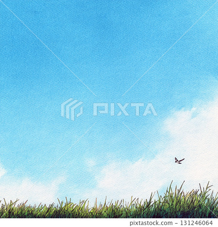 A refreshing background illustration of a watercolor-style blue sky and birds flying in the grass 131246064