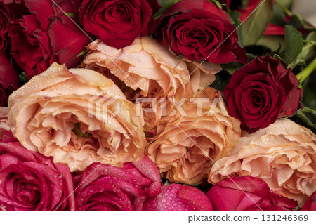 beautiful red pink and orange roses in drops of water in a large bouquet lying on top of each other, several wet red, pink and orange fresh roses 131246369