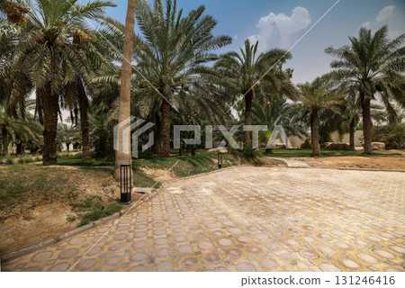 Luxury Modern Villa in Saudi Arabia 131246416